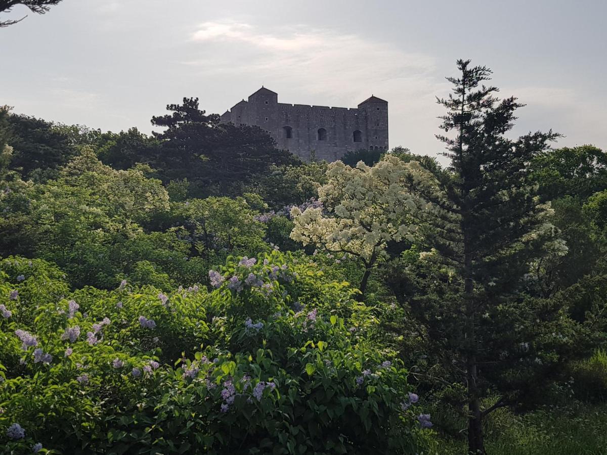 Apartments Varga Senj  Zewnętrze zdjęcie